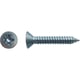 Vis à tôle tête fraisée Pozidriv® Zingué