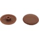 Capuchon pour vis béton à clipser empreinte Torx® T30 Marron