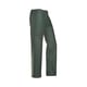 Pantalon BANGKOK vert