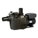 Pompe piscine RS II VSTD monophasée