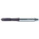 Taraud machine EP2021302 HSS-E PM