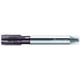 Taraud machine EP2026302 HSS-E PM