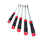 Jeu de 5 tournevis Resistorx® T-J4Z