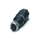 Connecteur série SACC-M8-QO-M - M8 - 4 pôles - droit - femelle - autodénudant - SACC-M 8FS-4QO-0,5-M