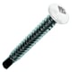 Vis autoperceuse tête cylindrique laquée blanc empreinte carrée SQ2 - 4,2 x 16 mm Zingué
