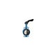 Vanne papillon fonte / EPDM 1125