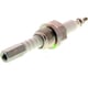 Porte Electrode BS-1