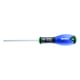 Tournevis Torx - Dimensions de l'empreinte : T10 - Longueur de la lame : 75 mm