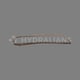 Chaine inox POLARIS 3900s