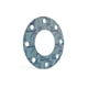 Joint de bride BlueGard 3000