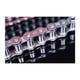 Chaîne à rouleaux simple BS ALPHA PREMIUM INOX