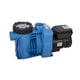 Pompe piscine RIVERPUMP VS