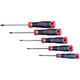 Jeu de 5 tournevis Resistorx® T-RJ5