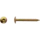 Vis pour penture Torx® Zingué bichromaté