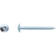 Vis pour penture Torx® Zingué