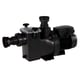 Pompe REPOSPOOL vitesse fixe