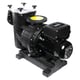 Pompe centrifuge e-MAGNUS VSTD triphasée - 4kW
