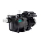 Pompe SUPERMAX S5P1R VS2M 1.5CV