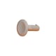 Clip de roue pour aspirateur piscine MX10