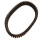 Chenille pour robot de piscine C1 PRO